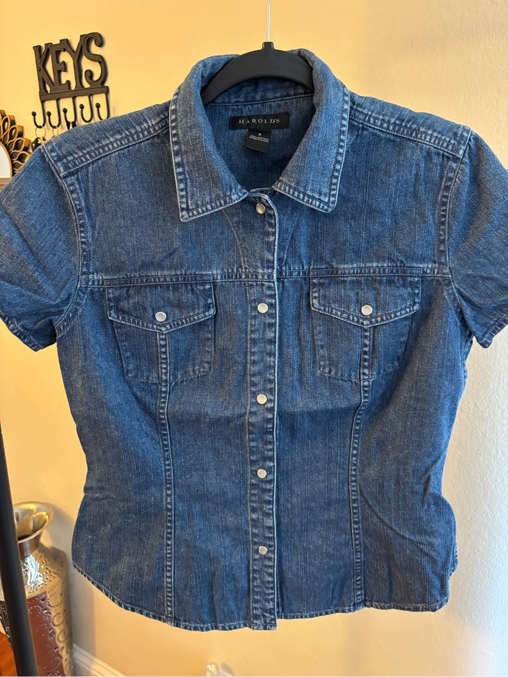 Harold's Blue Denim Button-Front Shirt